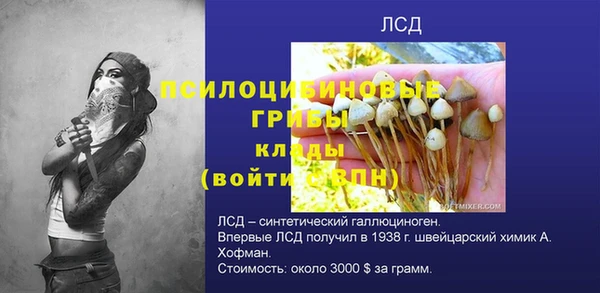 2c-b Алзамай
